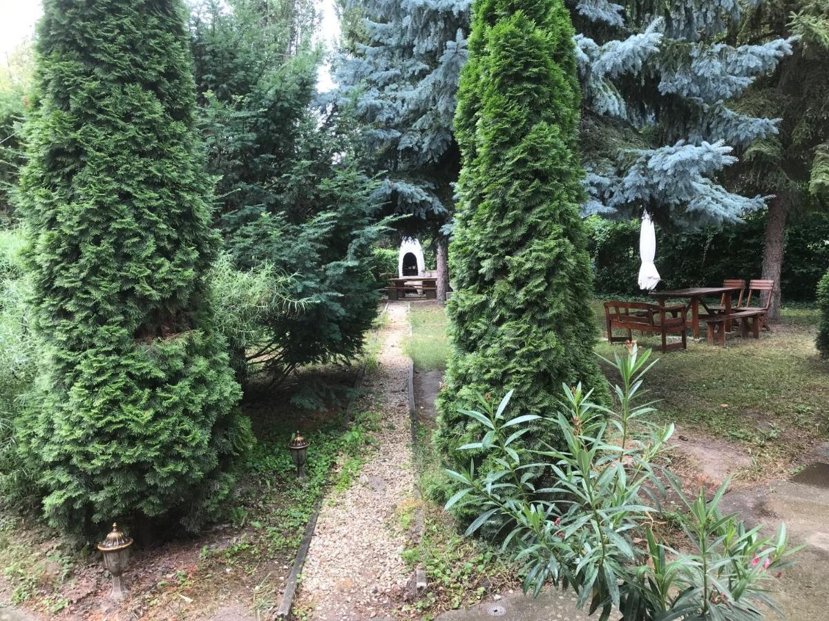 Bed and Breakfast Platanus Panzió Zamárdi Exterior foto